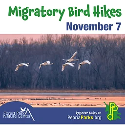 Migratory Bird Hike