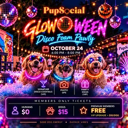 Glow-o-ween Disco Foam Pawty