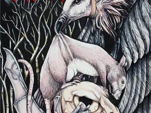 The Waypoint: Live Music with Scavenger