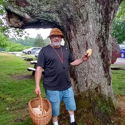 The Fungus Among Us with Dave Paton