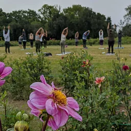 Evening Yoga in the Garden