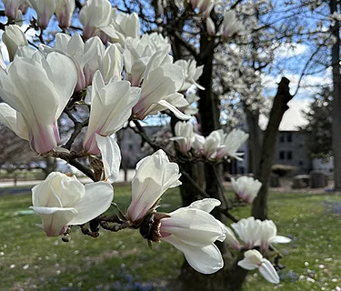 In-Person Highlights Tour: First Day of Spring