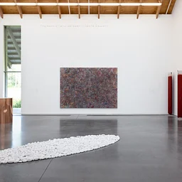 Curator-Led Tour | UNTIL THE MOON COMES OVER THE MOUNTAIN