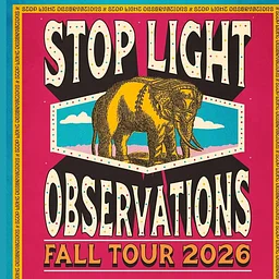 Stop Light Observations
