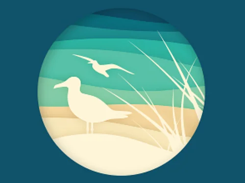 Friends of Elmwood Dunes Workday 8/13