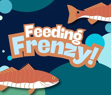 Feeding Frenzy
