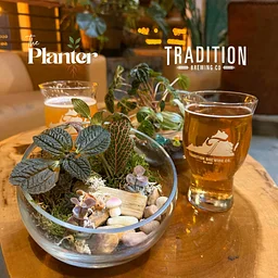 Plant & Sip – DIY Tropical Terrariums