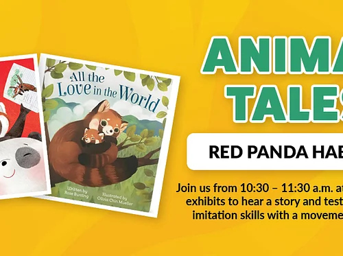 Early Childhood Pop-Up: Animal Tales – Red Panda Exhibit