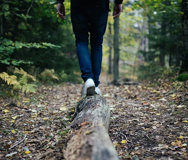 Seasons on the Land: Monthly Walks at Crown Point