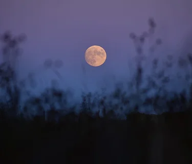 Nature’s Fireworks