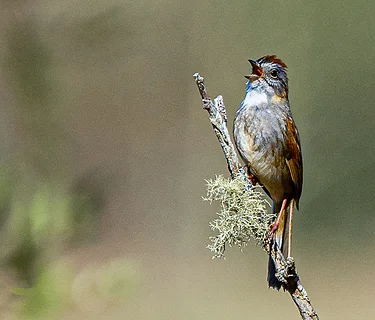 Guided hike at Salt Bay Farm