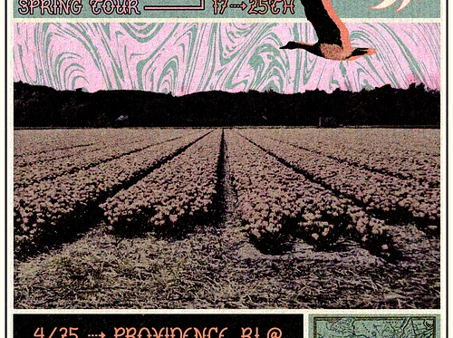 Pintail + Strange Pains + Lectra + Narrow Arms