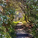 Sunset Nature Walk