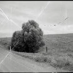 The Work Before the Work: Idea-Building Using Photographs and Words with Odette England