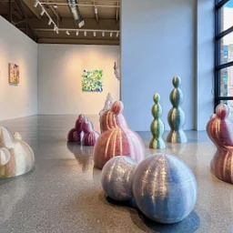 Artist Talk with Aurora Robson at the Center for Visual Art, MSU Denver