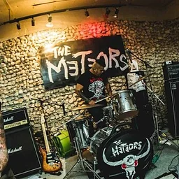 The Meteors