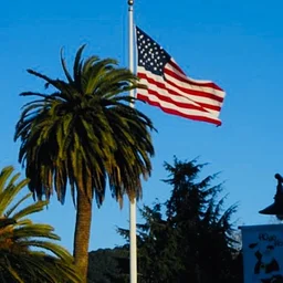 Annual Niles Flag Day
