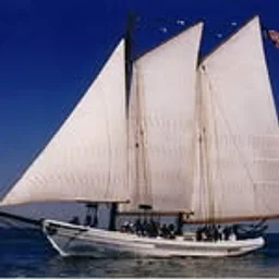 Bayshore Center at Bivalve