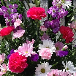Basic Floral Design, Part 1
