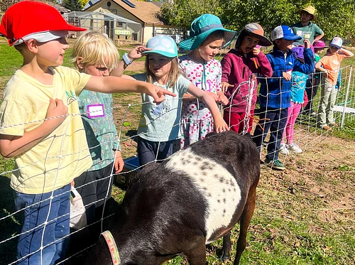 Fall on the Farm: Goats, Games, and Nature Art