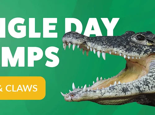 Single Day Camp – May 19, 2026 “Jaws and Claws”