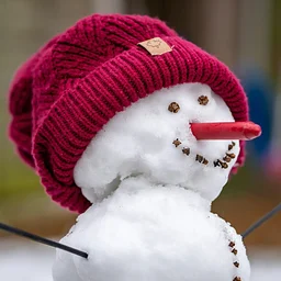 Snowman Crafts Week
