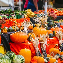 Red River Market: Harvest Fest presented by Sanford Health