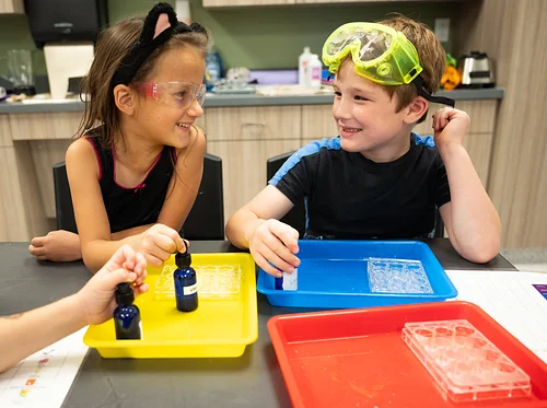 Chemistry: Chemists in Action
