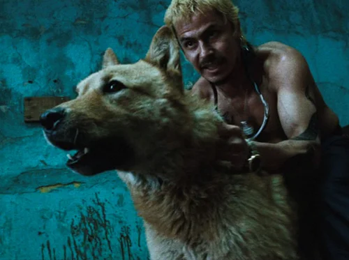 Amores Perros at Speed Cinema