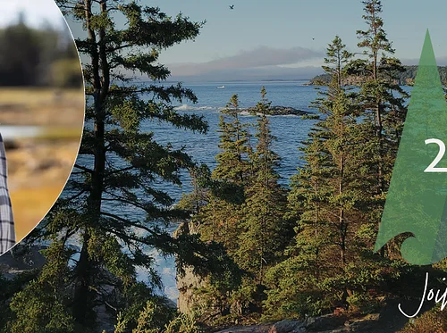 Trees of Acadia: The Past, Present, and Future of Park Forests feat. Catherine Schmitt and Panel
