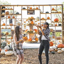 The Fall Roundup
