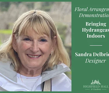 Bringing Hydrangeas Indoors: A Floral Arrangement Demonstration with Sandra Delbridge