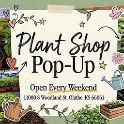 HOFF Plant Shop Pop-Up 🌿