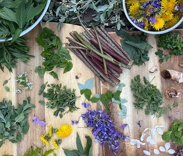 Foraging & Fermenting Class
