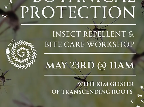 Botanical Workshop with Kim Geisler