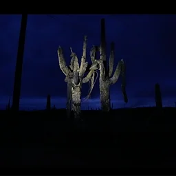 Last day to visit "Desert"