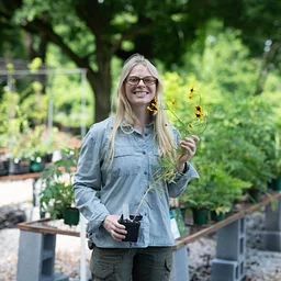 Wild Ones Plant Sale