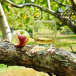 Cores & Pours: A Farm to Cider Tasting Event