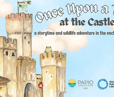 Once Upon a Time at the Castle