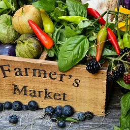 Methow Valley Farmer's Market