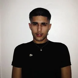 fakemink
