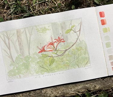 The Art and Science of Drawing Plants: Field Studies