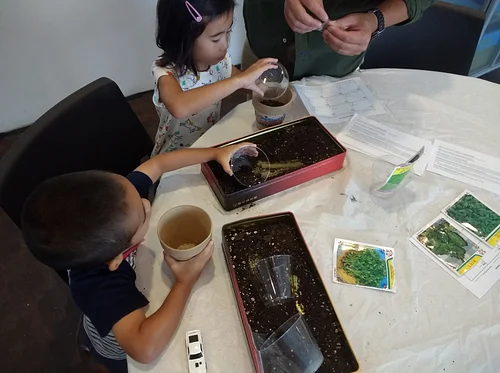 MOCACREATE: Embrace Earth Day with Teaching Artist Yu Rong