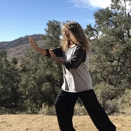 Tai Chi with Jill Feltovich - $15/class or $50/4 classes (1 month)