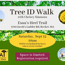 Tree ID Walk with Chelsey Simmons