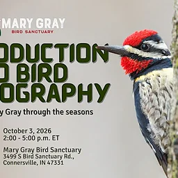 Introduction to Bird and Nature Photography Workshop