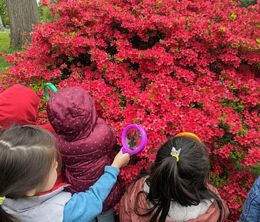 Last Saturdays: Open Classroom 