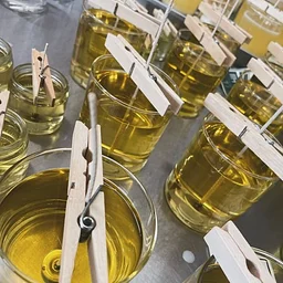 Holiday Candle Making