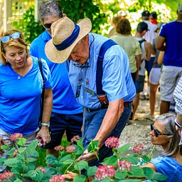 Hydrangea Winter Protection Strategies Workshop