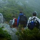 Summer Film Series: Beyond the Tree Line